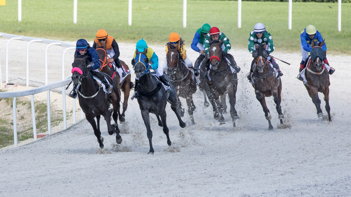 galopp – Kincsem Park