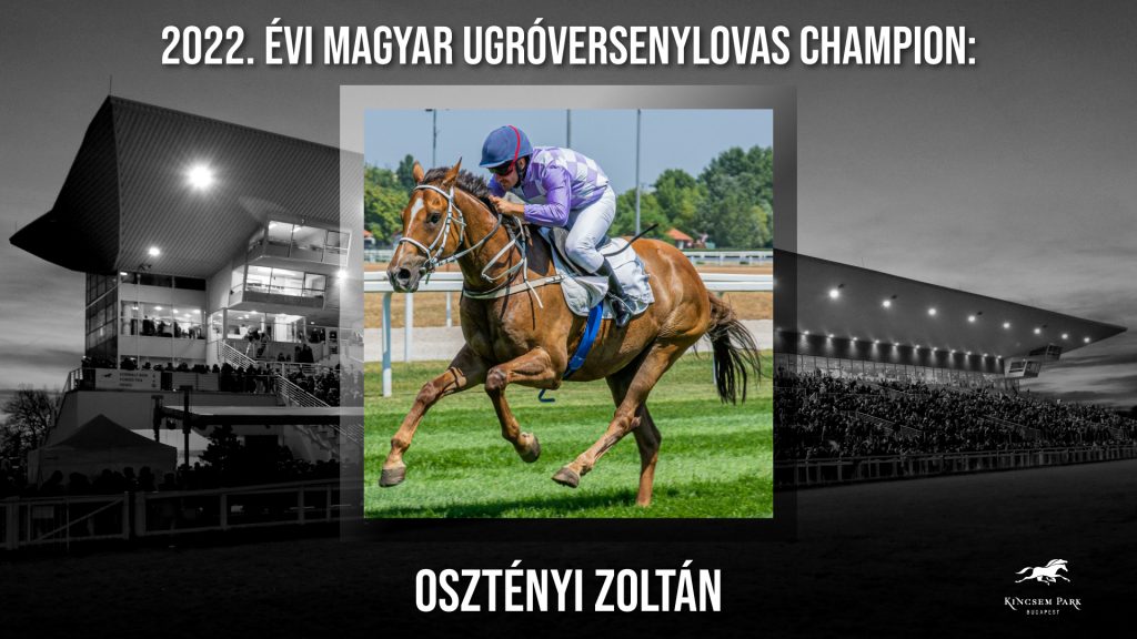 Osztényi Zoltán az ugró lovas champion