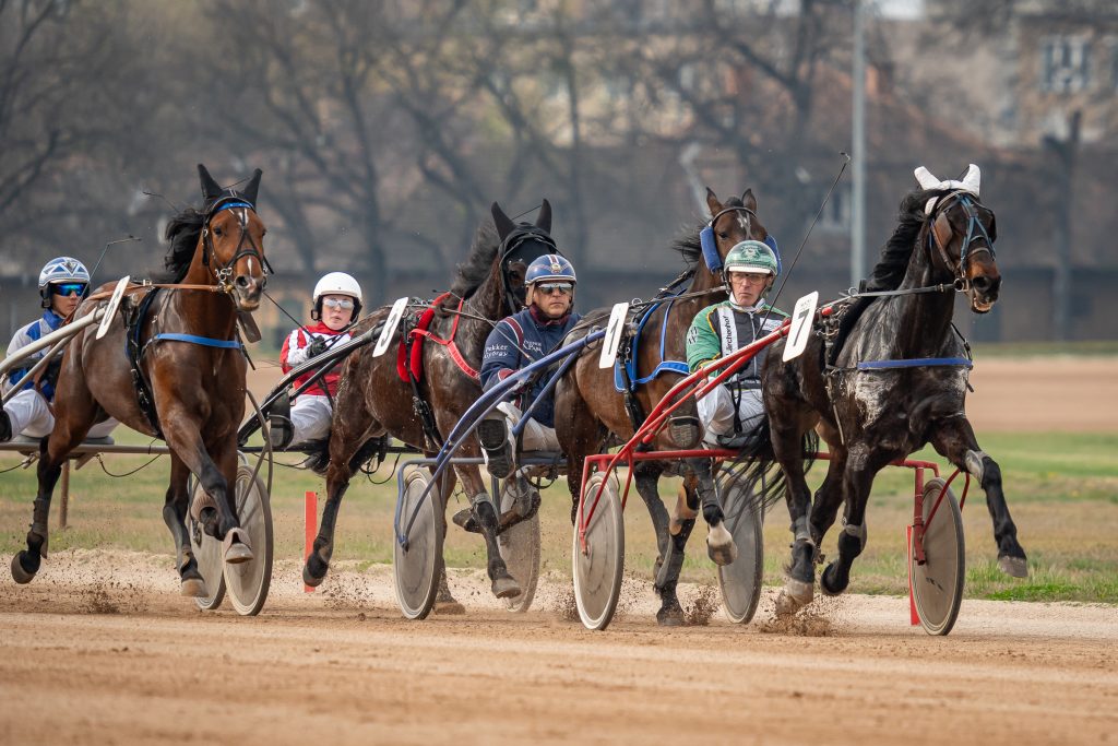 Anikó Star Díj a szombati ügetőn – kezdés 13 órakor!