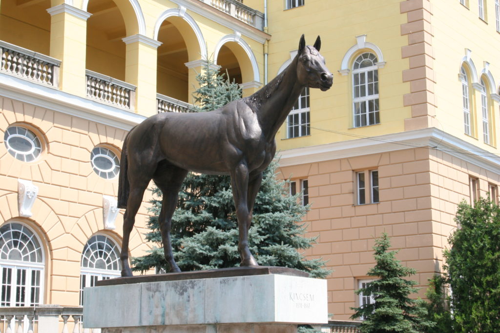 Kincsem egy galoppugrásra a Hungarikummá válástól