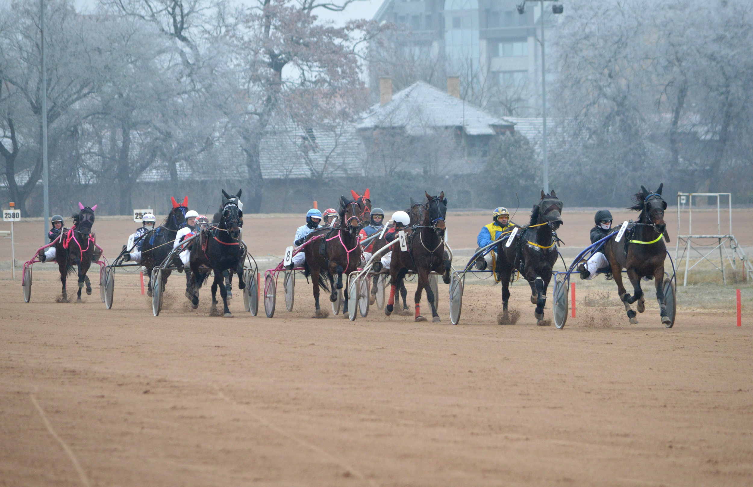 A december 20-i ügetőnap érdekes adatai