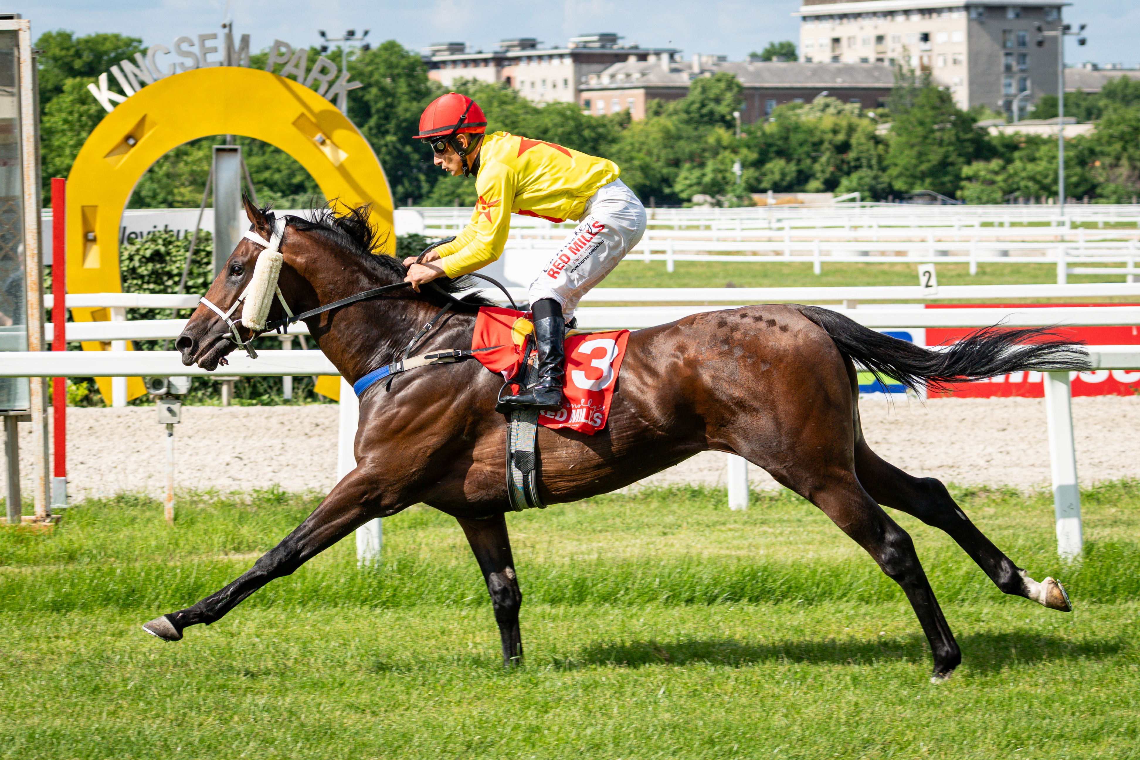 A Hungaro Racing Etemovic istálló vitte a két kiemeltet