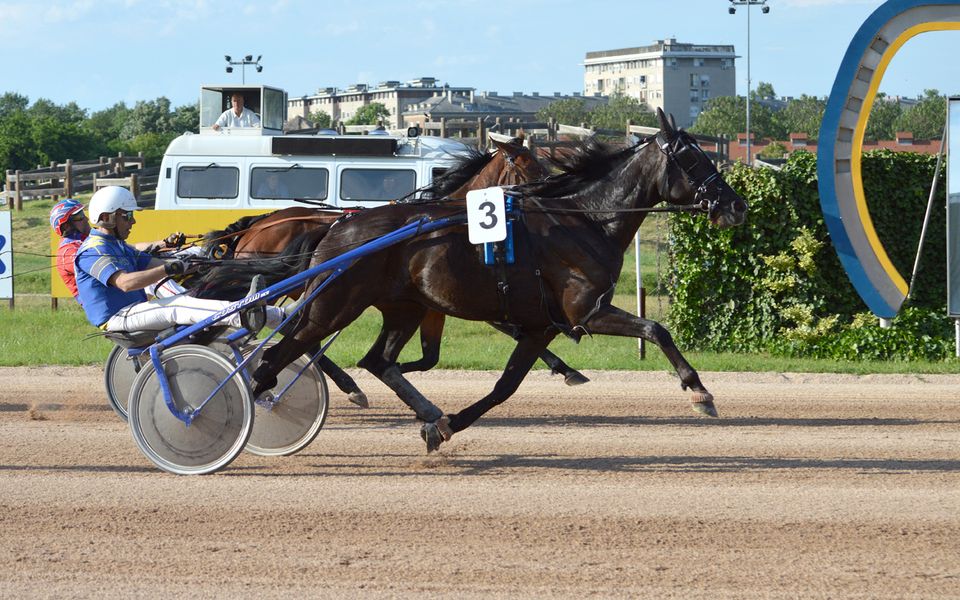 Hároméves siker a 116. Nemzeti Díjban, német győzelem a Sprinter Kupában