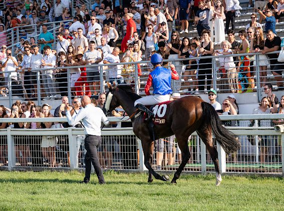 Oriental Star beragyogta a Kincsem Parkot, ő a Szerencsejáték Zrt. - 103. Magyar Derby győztese