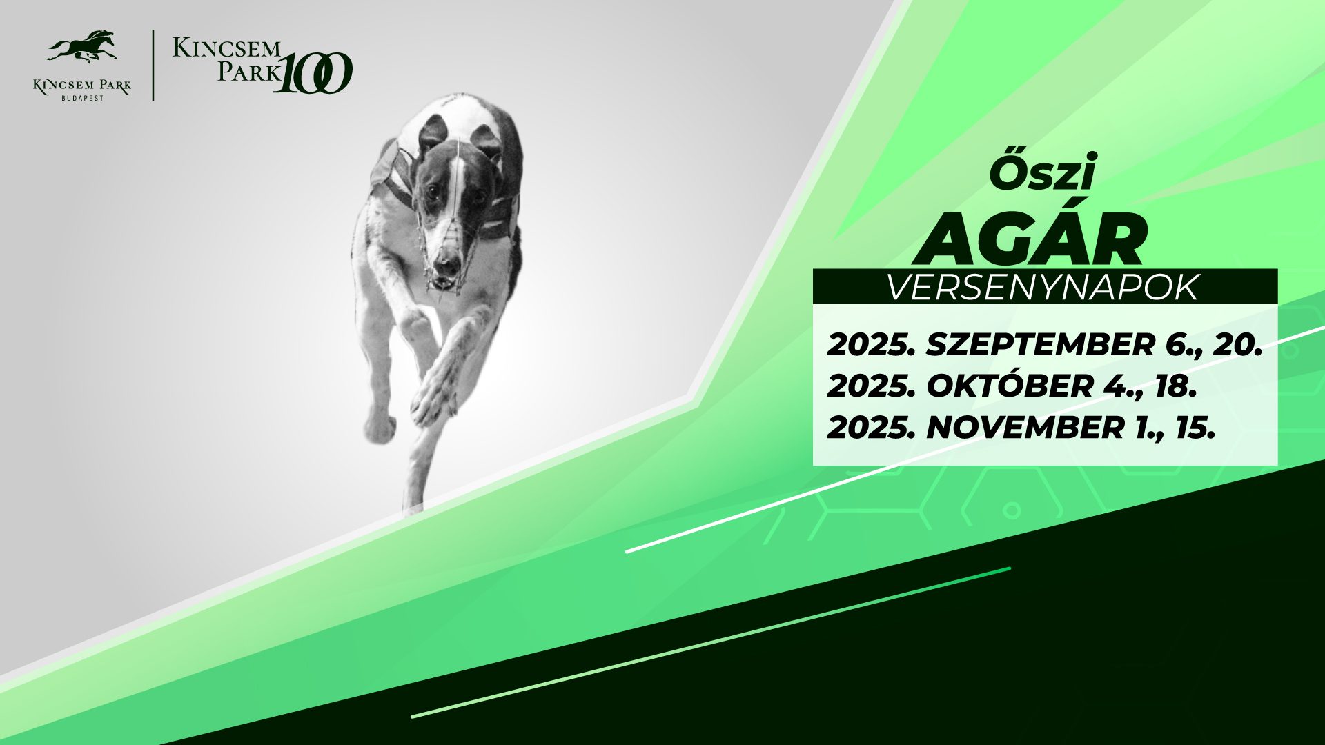 2025 őszi agár versenynapok