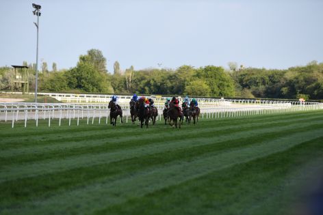 A november 2-i galoppnap érdekes adatai