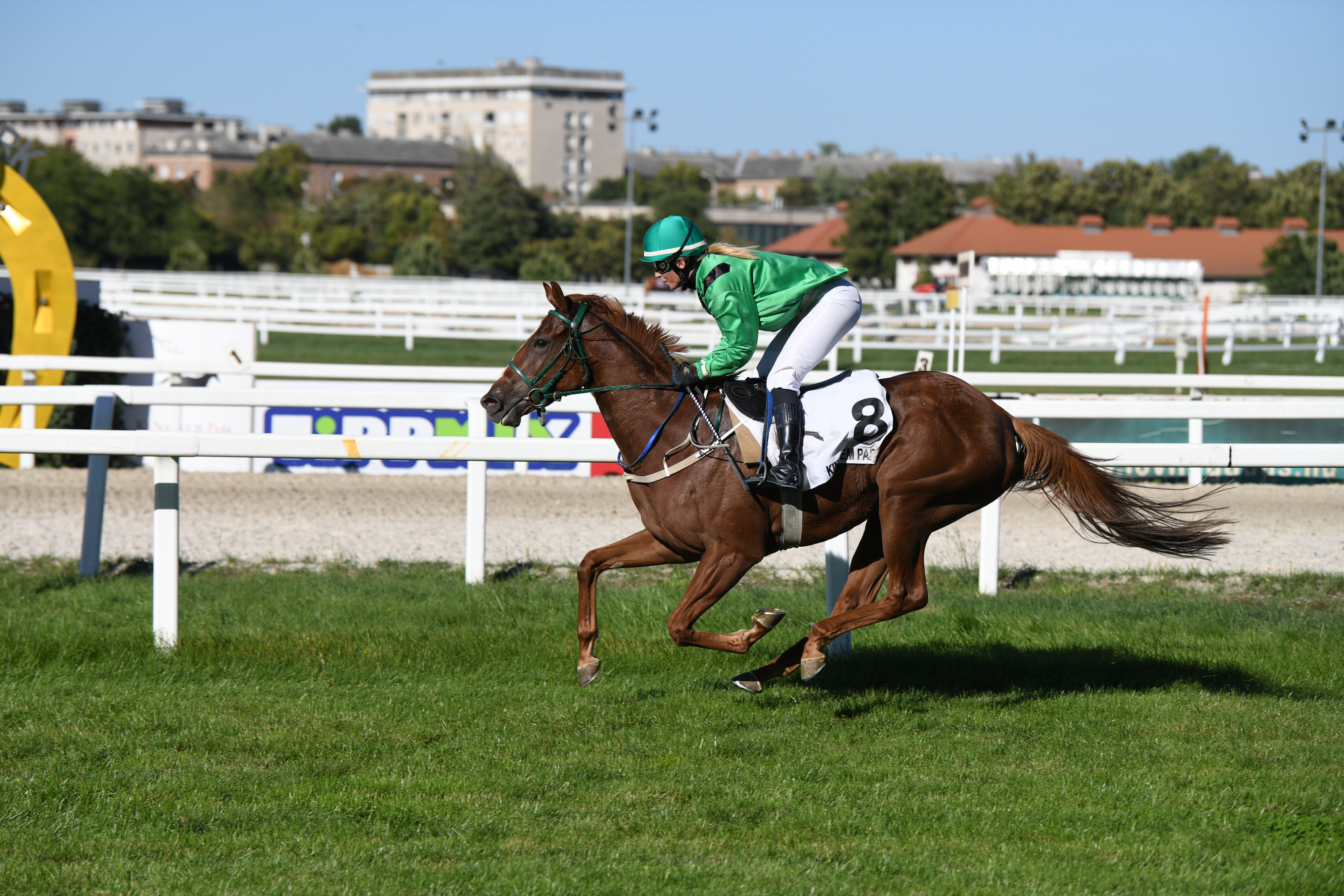 Sunshine Glory (IRE) tündöklése a Gróf Károlyi Gyula Emlékversenyben