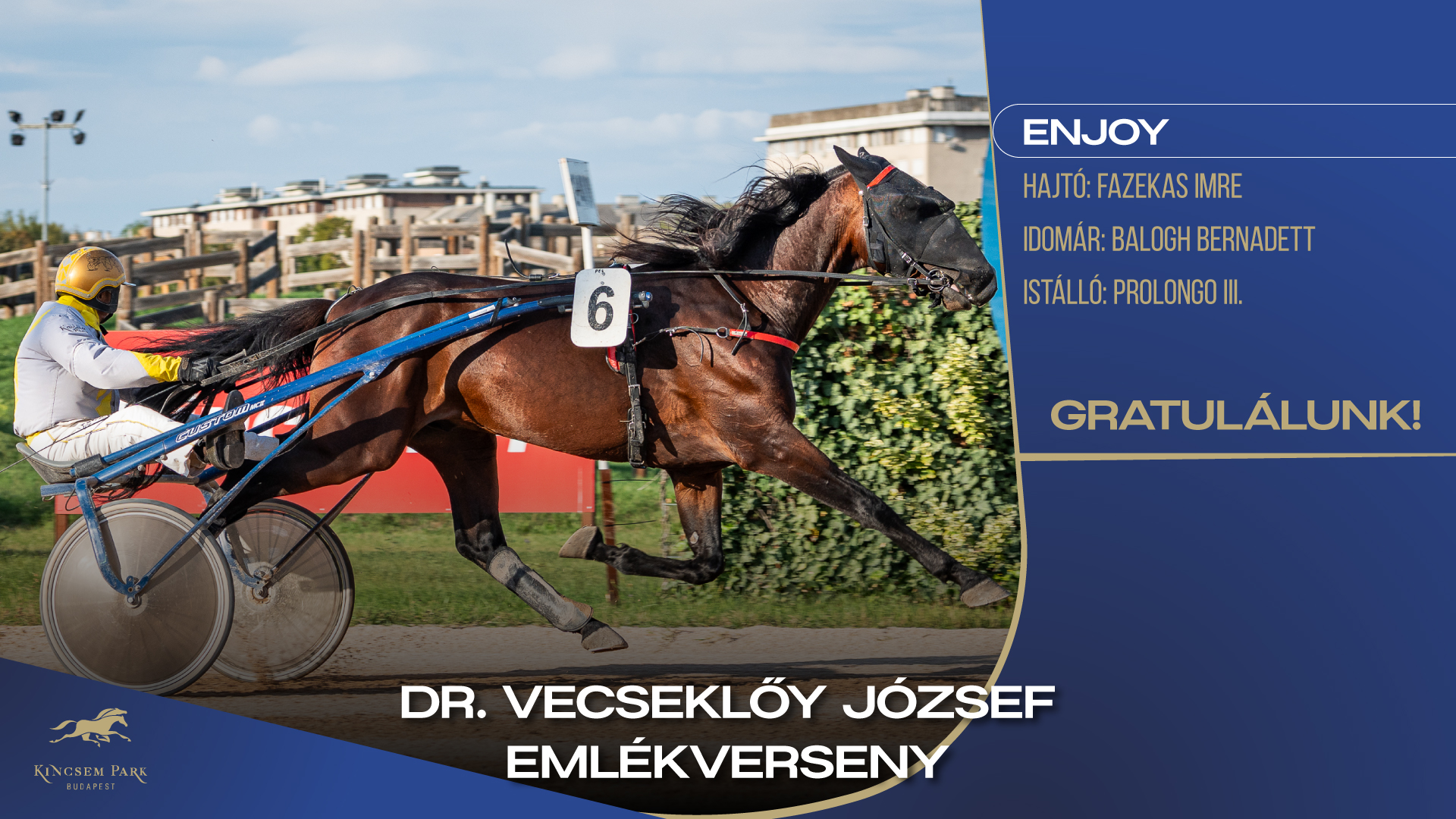 Dr. Vecseklőy József EmlékversenyEnjoy Hajtó: Fazekas ImreIdomár: Balogh BernadettIstálló: Prolongo III.Gratulálunk!
