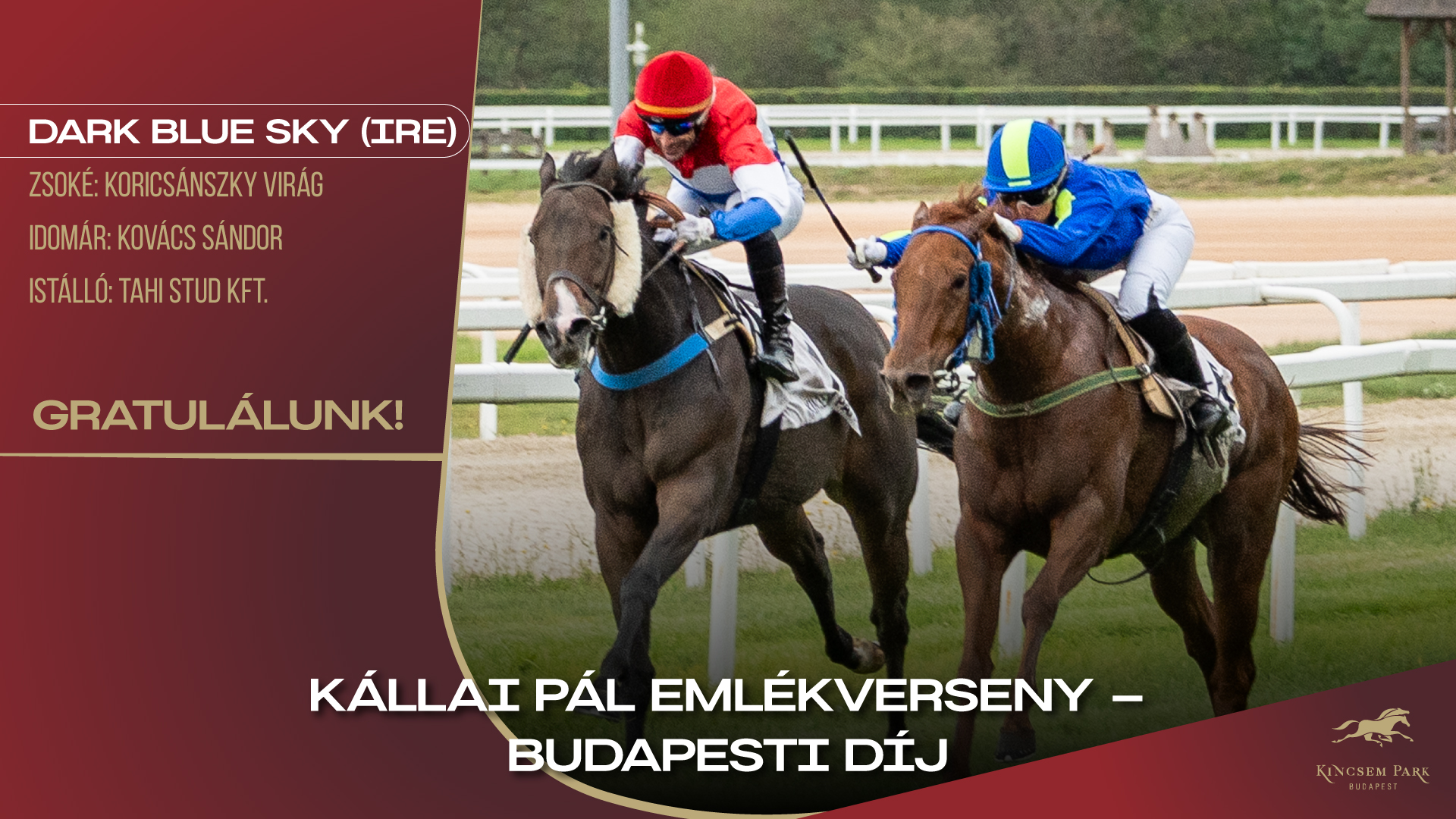 Kállai Pál Emlékverseny - Budapesti DíjDark Blue Sky (IRE)Zsoké: Koricsánszky VirágIdomár: Kovács SándorIstálló: TAHI STUD Kft.Gratulálunk!