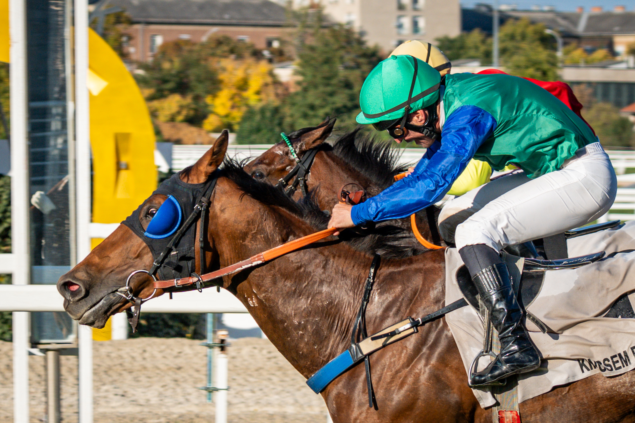Royal Force és Ráadás küzdelme