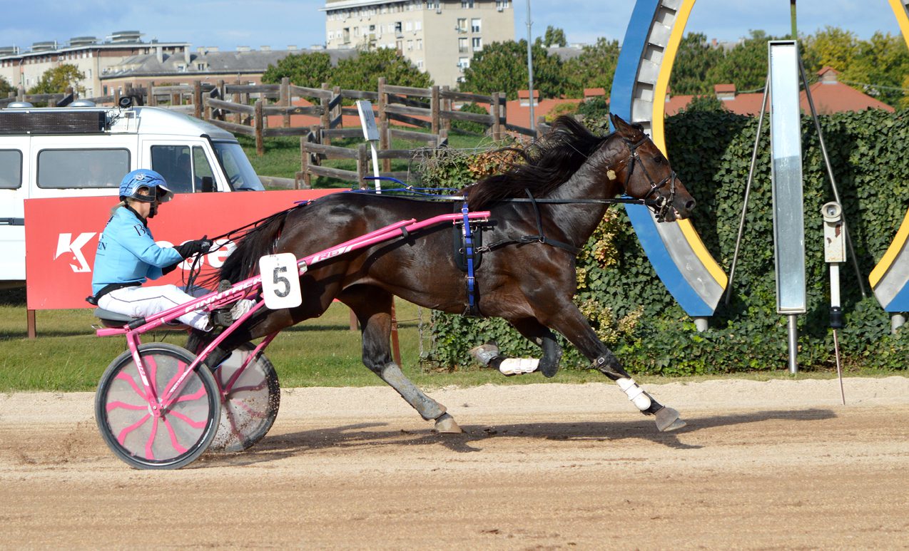 Digital Races győzelme