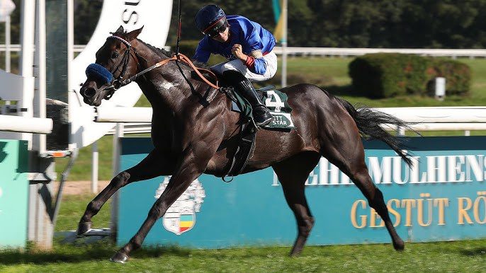 Szép találat: Shootout Gr.3-ban ért a csúcsra!