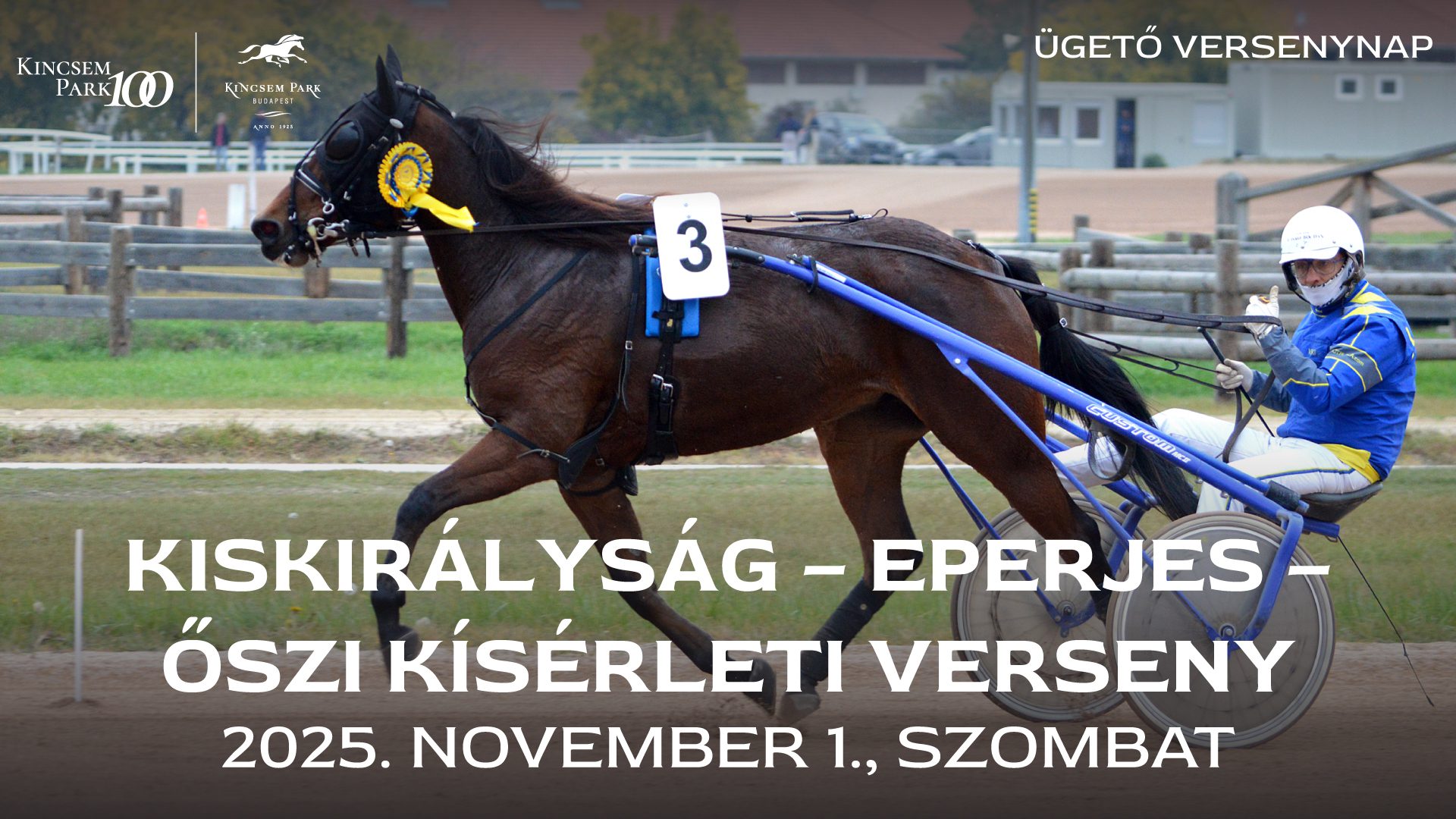 Idomári vélemények az Őszi Kísérleti Versenyről