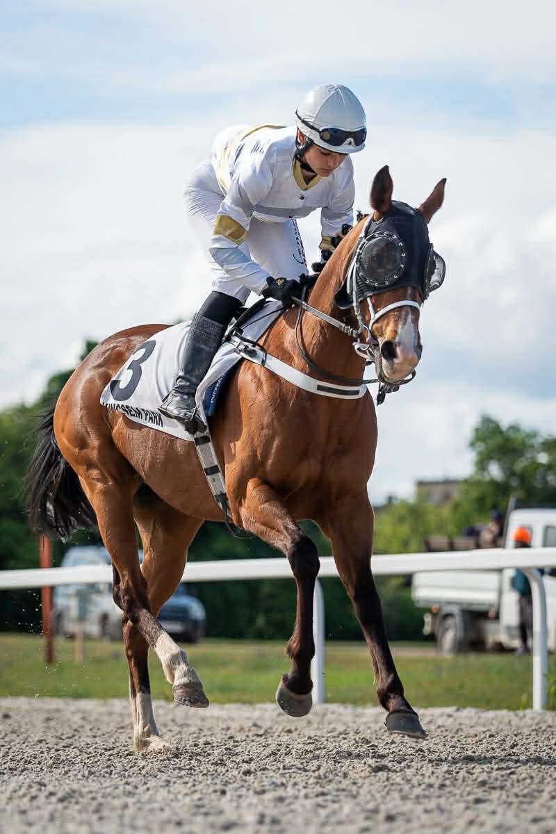 2. kép: Jeles Anna a Kincsem Parkban. Fotó: BNDK photo