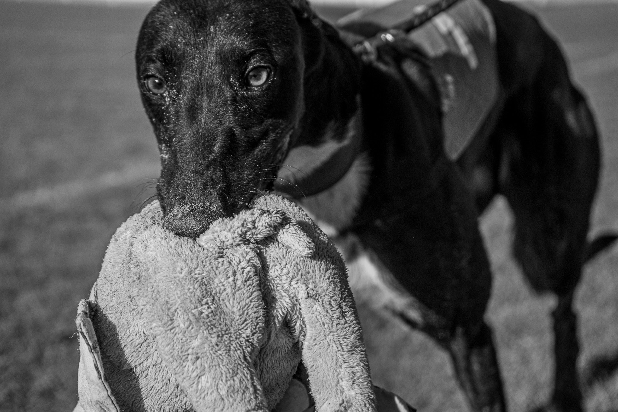 Szezonzáró Nagydíj