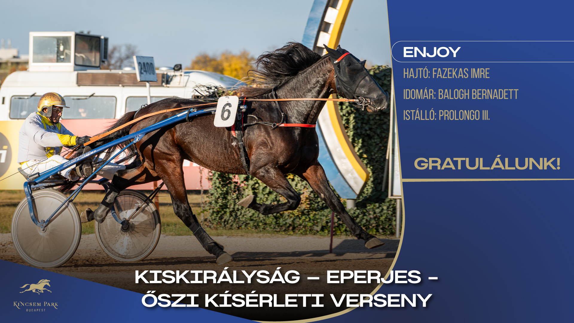 Kiskirályság - Eperjes - Őszi Kísérleti Verseny Enjoy Hajtó: Fazekas Imre Idomár: Balogh Bernadett Istálló: Prolongo III. Gratulálunk!