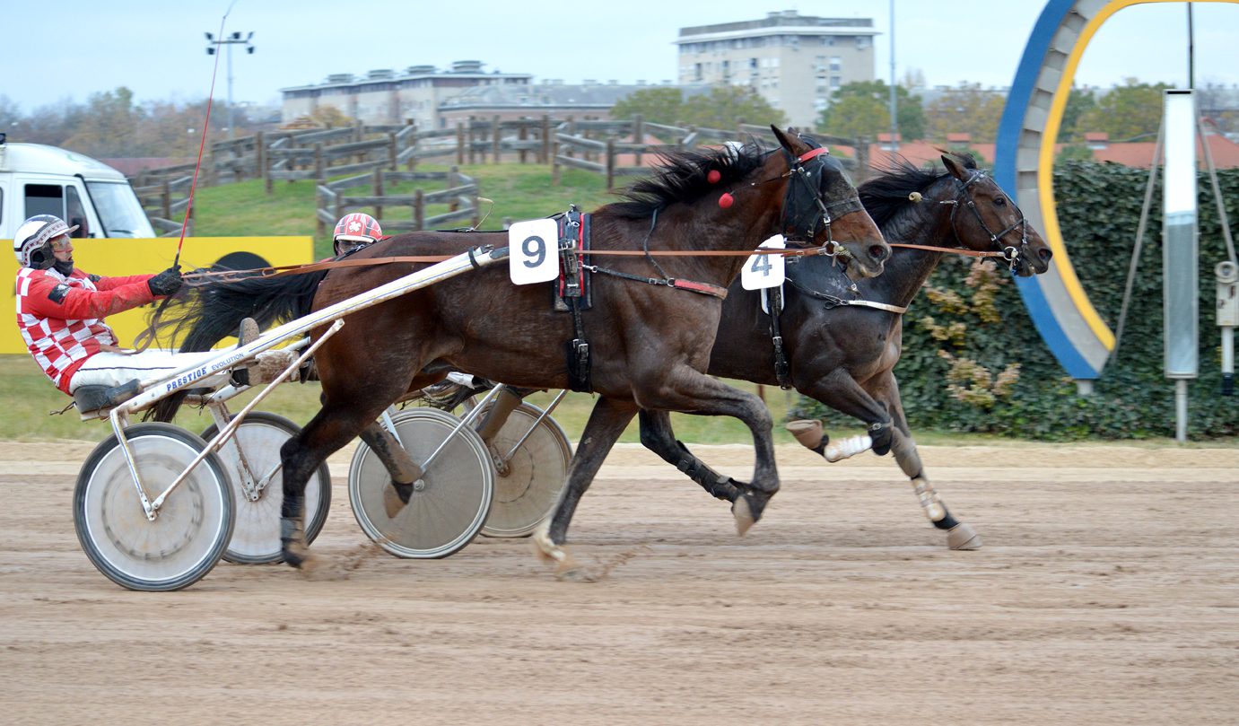 Digital Races győzelme