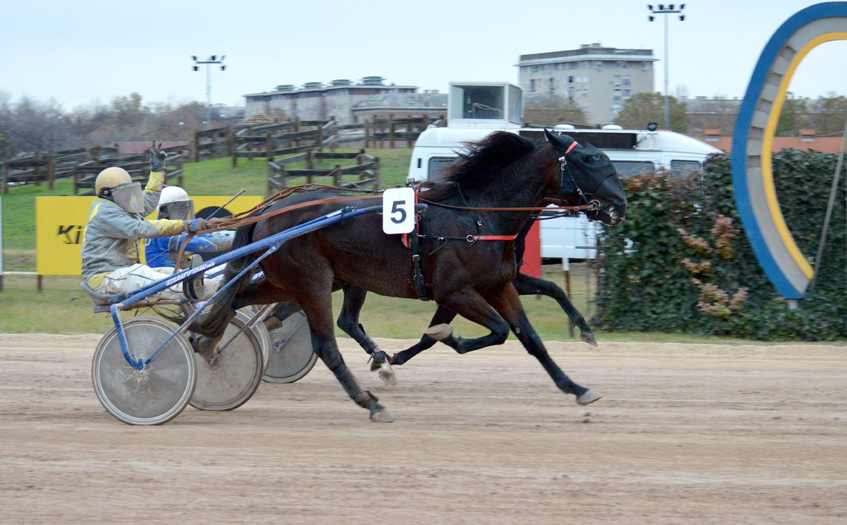 Enjoy és Giovanni Fling küzdelme