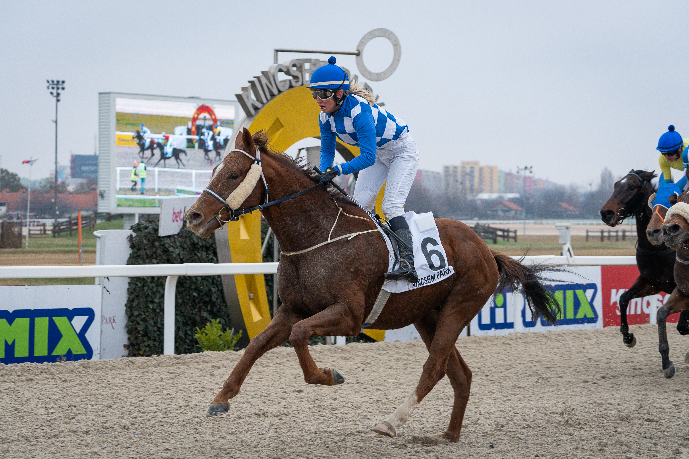 Suták Csenge győzelme Cenzorral