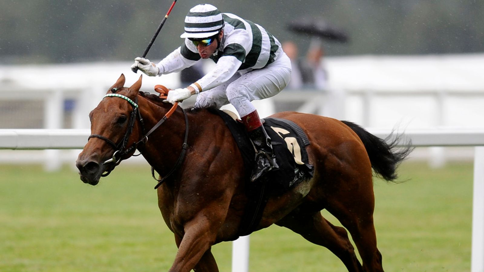 Henri Matisse anyja, Immortal Verse (IRE). Forrás: skysports.com