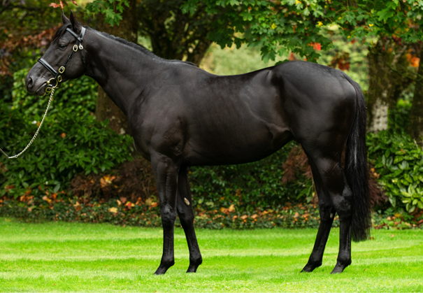 2. kép: Camille Pissarro. Forrás: coolmore.com