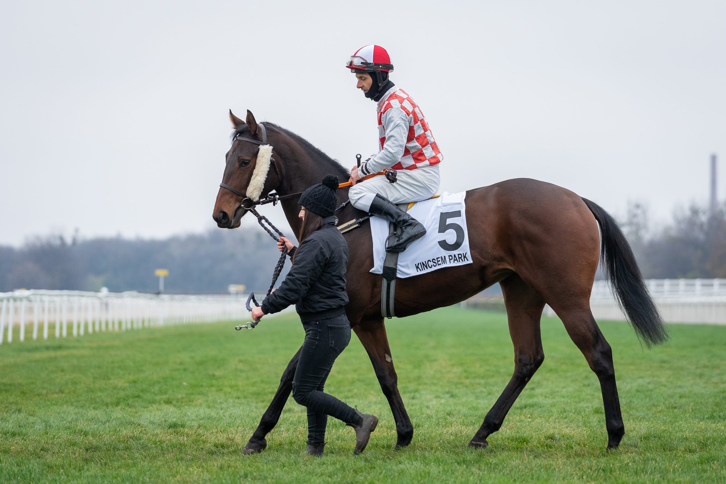 Almenperle és Stanislav Georgiev Drezdában készülnek bravúrra