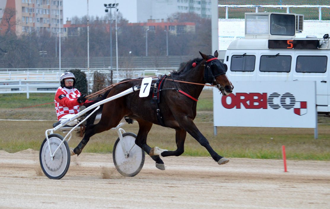 Pure Muscle a befutóban