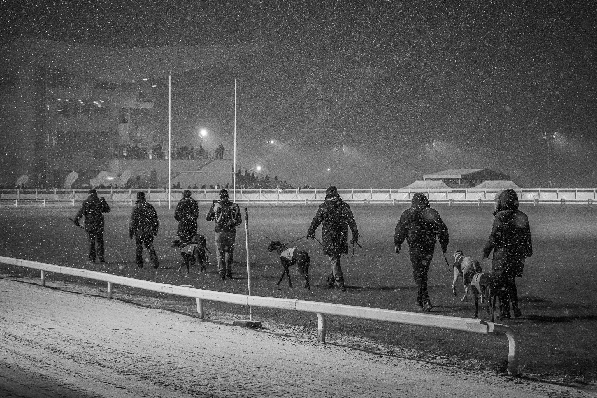 Szilveszteri Nagydíj képekben