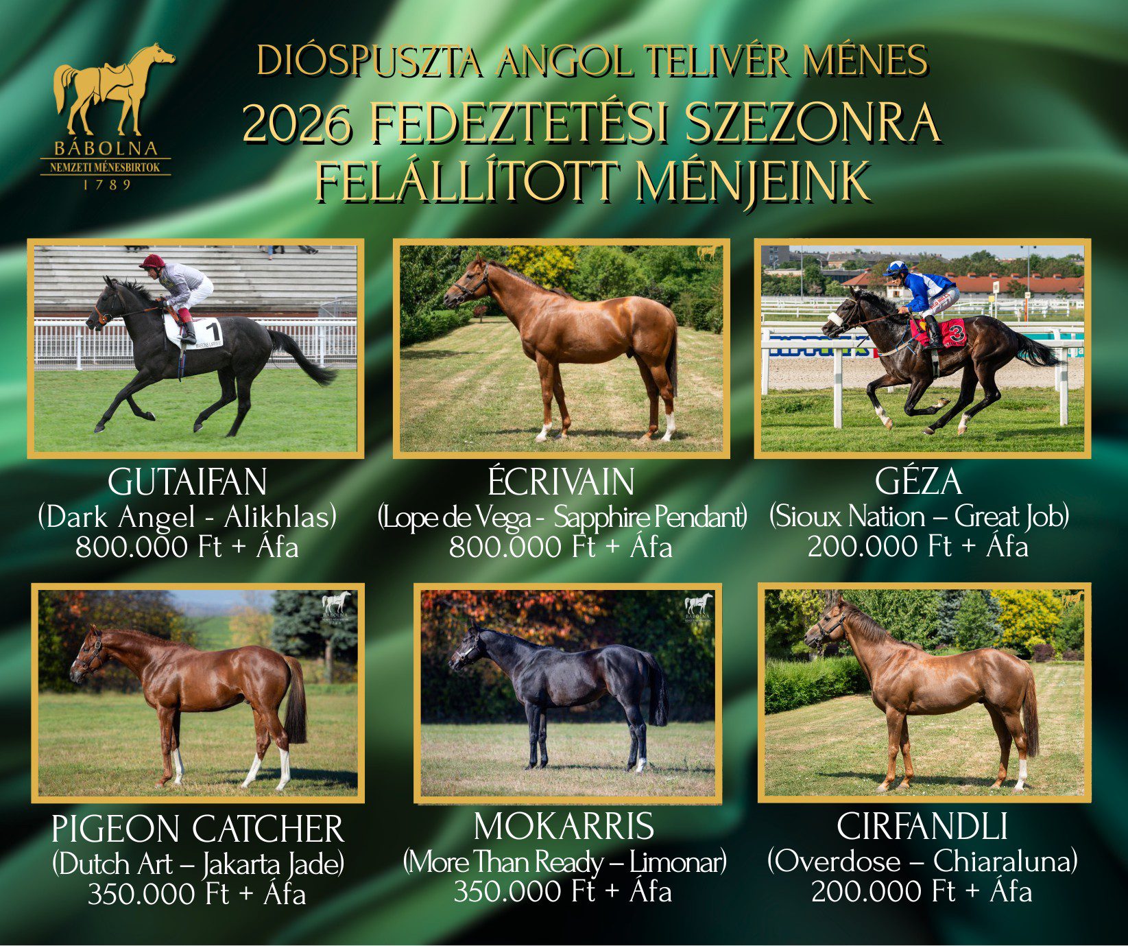 Dióspusztai Angol Telivér Ménes 2026 fedeztetési szezonra felállított ménjei