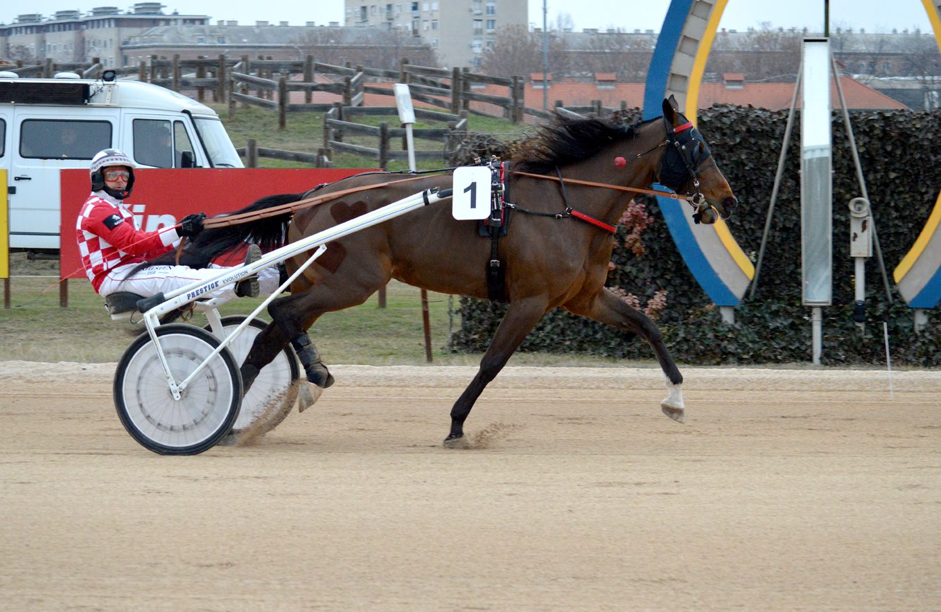 Pure Muscle a célban