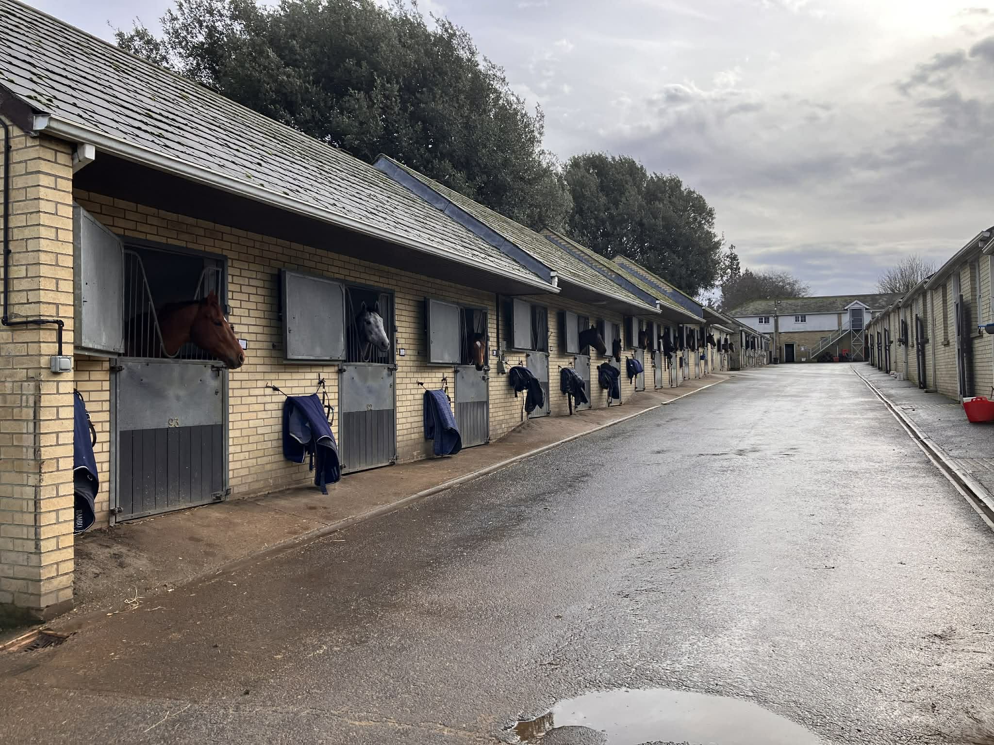 Az istálló látogatás pillanatai