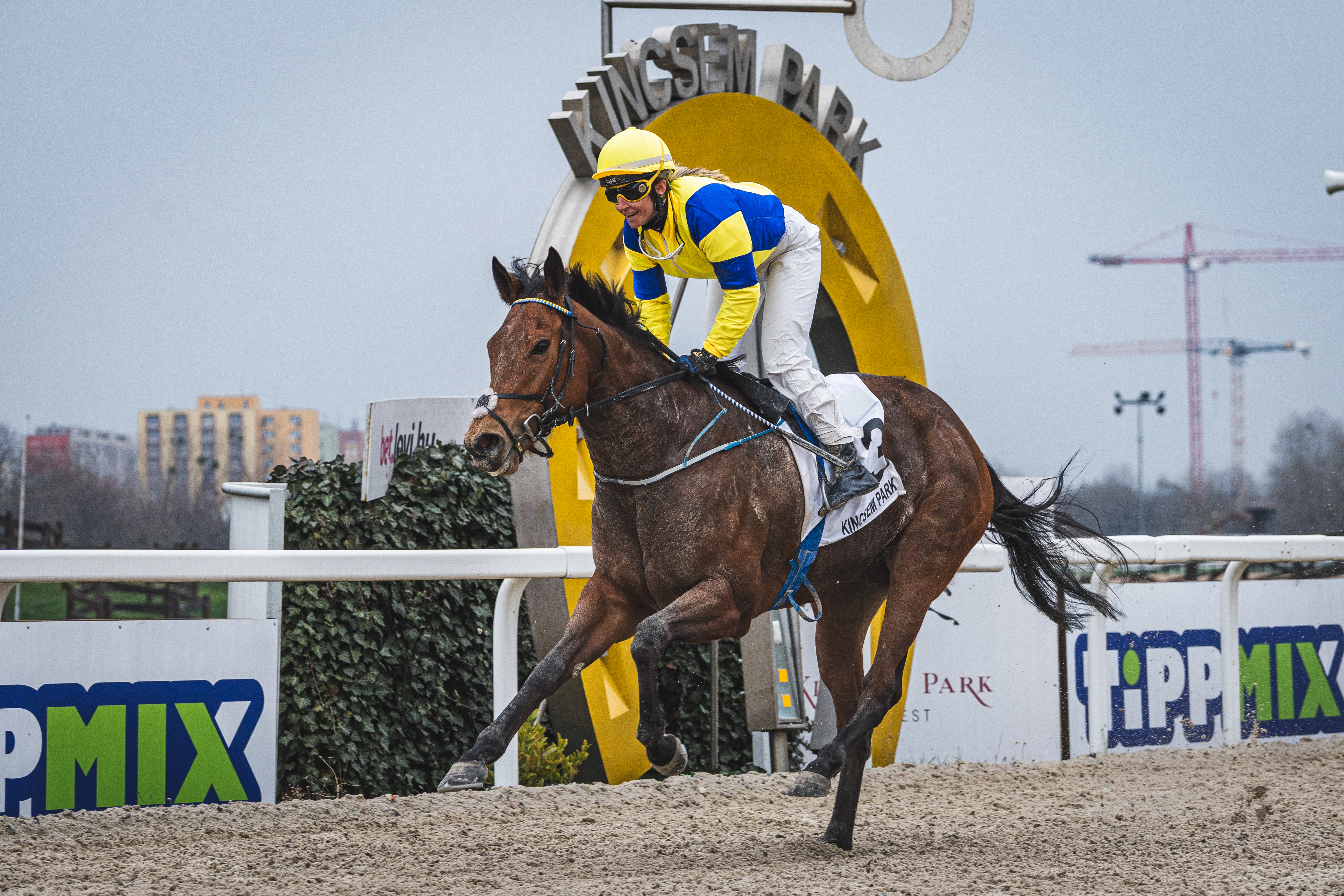 Ring That Bell nyerte a Megnyitó Versenyt Suták Csengével a nyergében