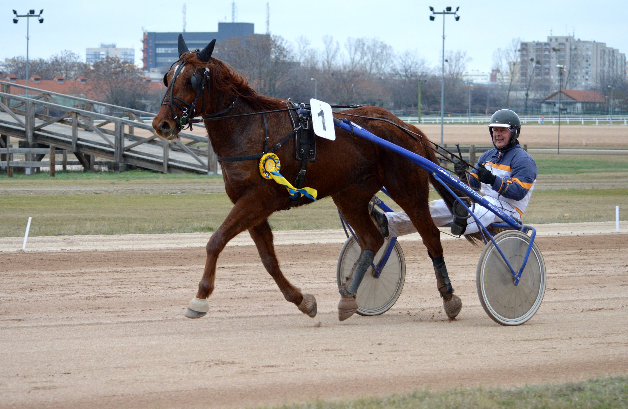 Bródy János Emlékverseny és Tavaszi Hendikep a szombati ügető verseny kínálatában!