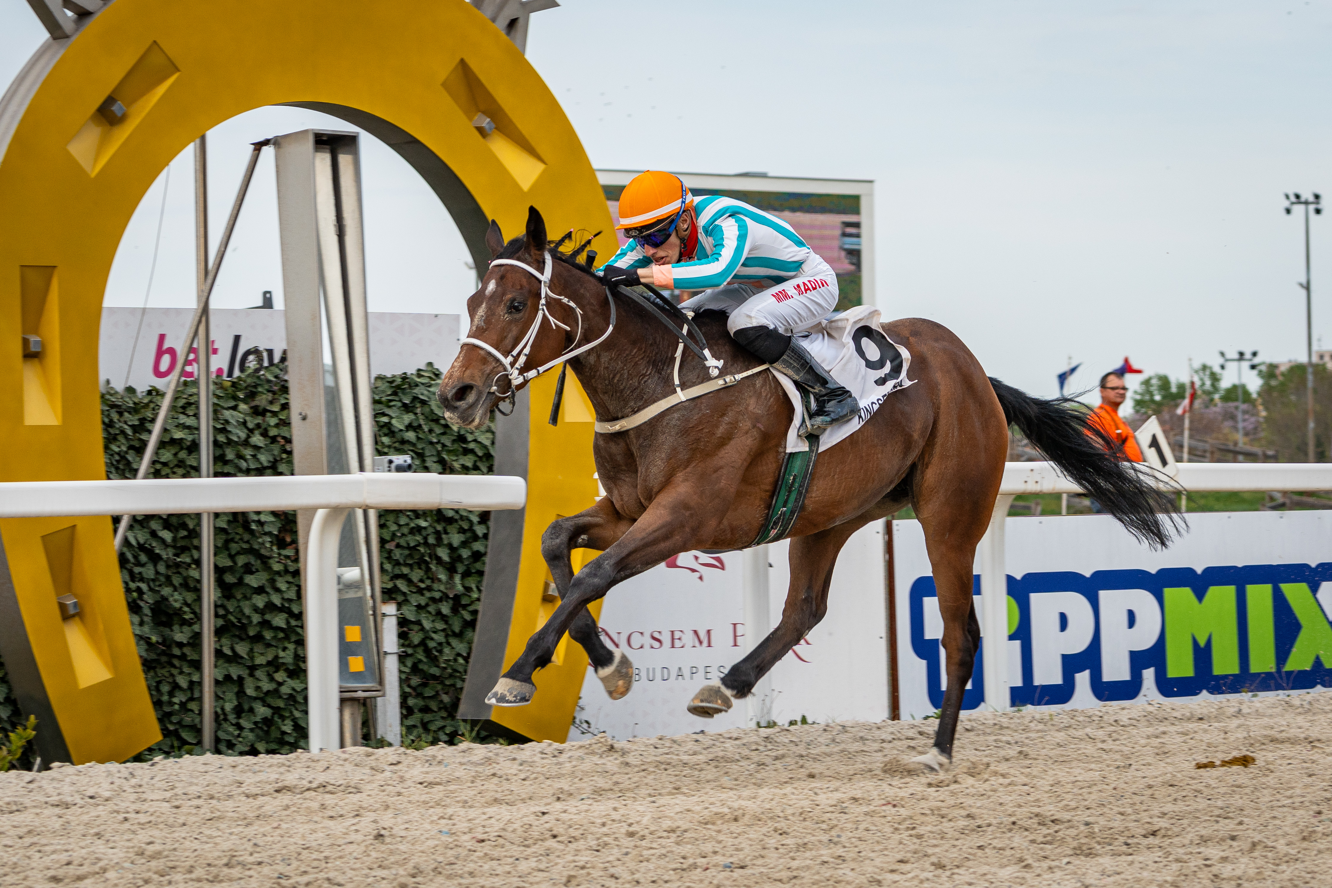 Pinkie Pie Girl győzött a Zirci Díjban Monir Madihival a nyergében