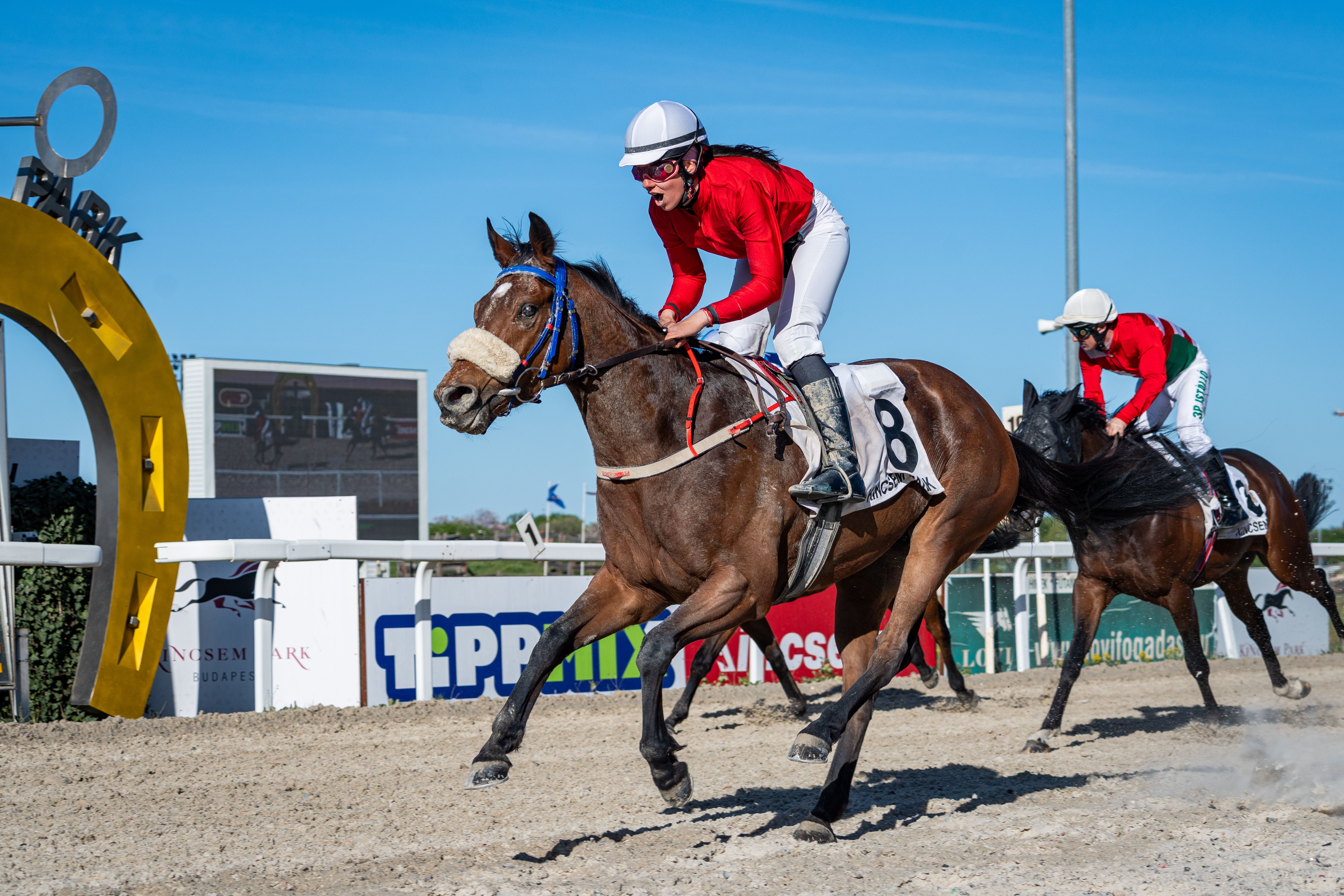 A Székkutasi Díj győztese, Reshiram a célban
