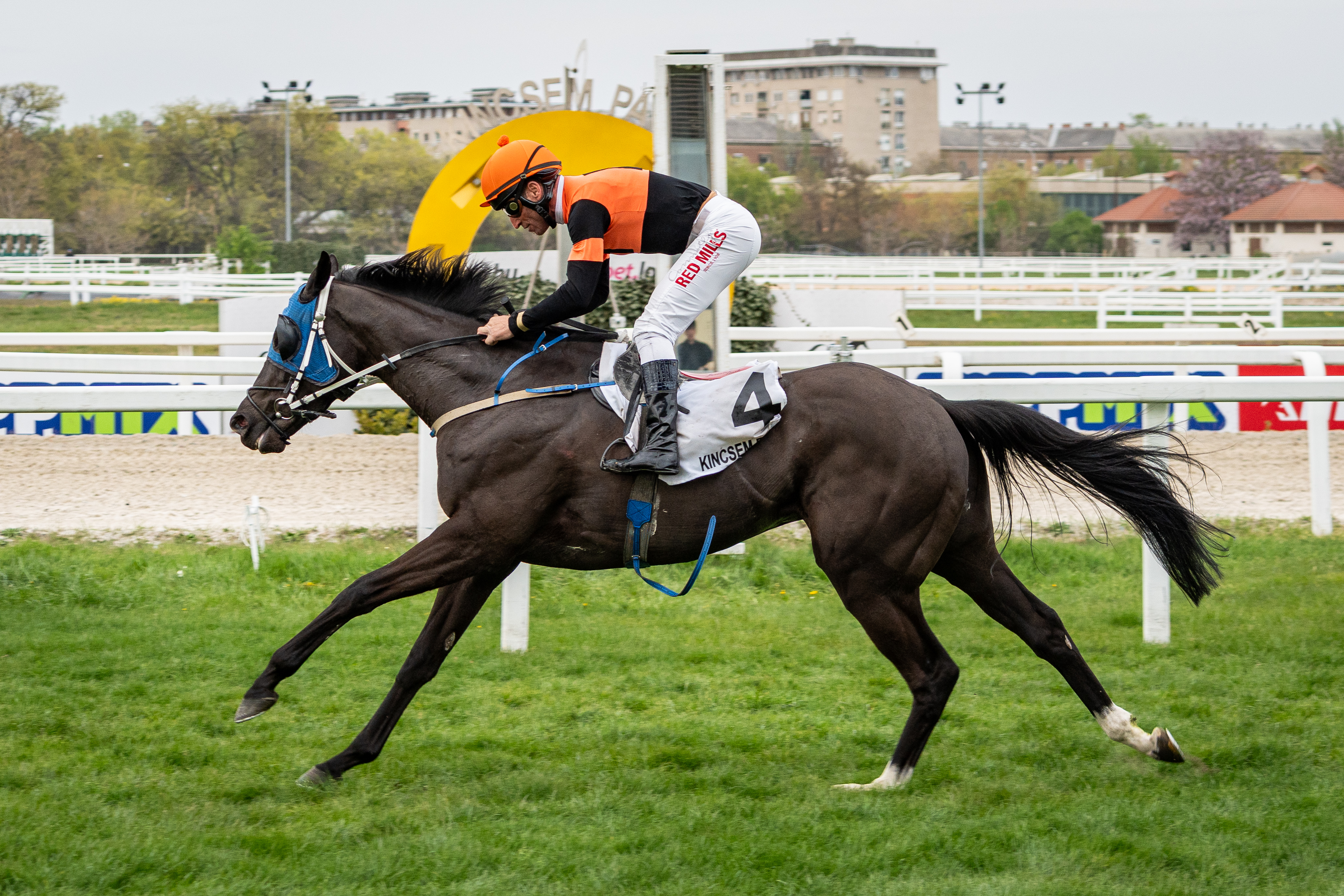 Invincible Aura győzelme a Kaposztásmegyeri Díjban