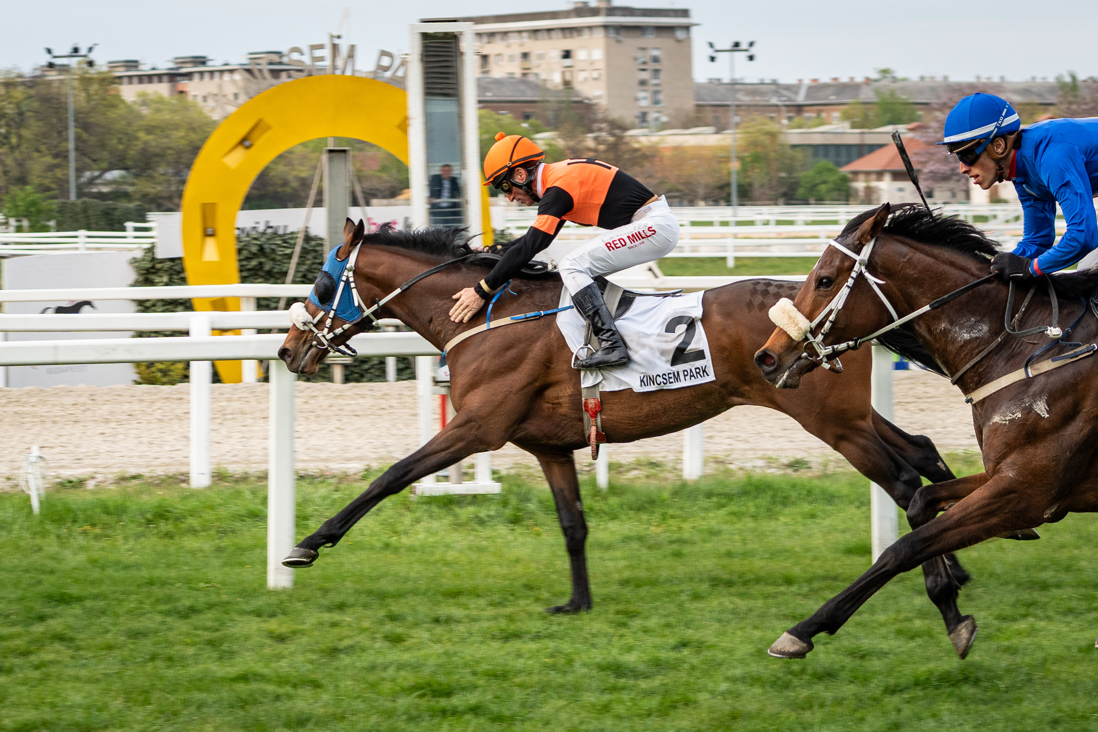 Prado sikere az Igazgatósági Díjban