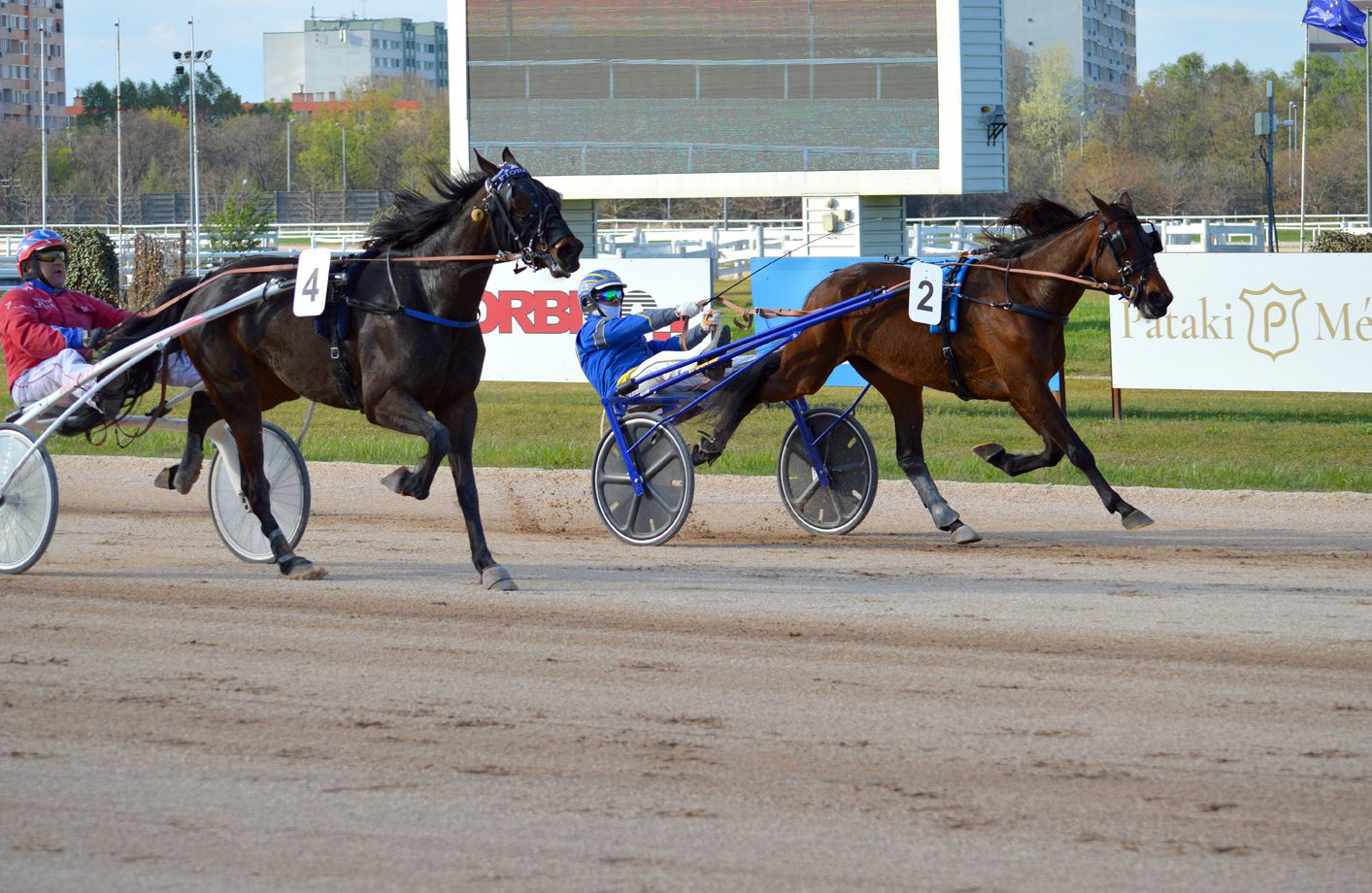 A Kiskarcsi Díj befutója