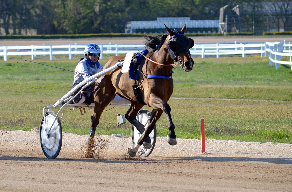Pure Muscle a Pulay Kornél Emlékversenyben