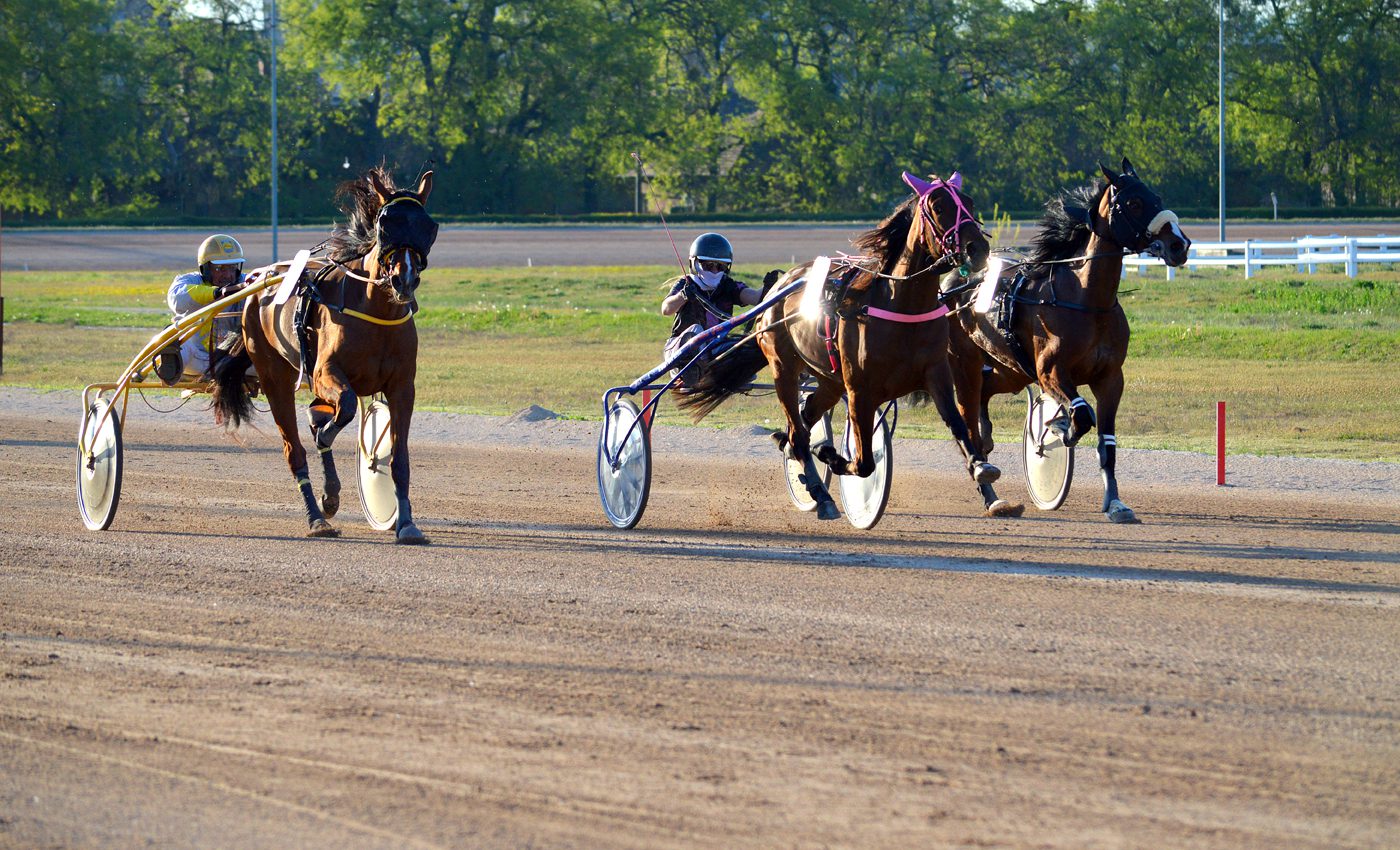 Zsoltány Díj befutója
