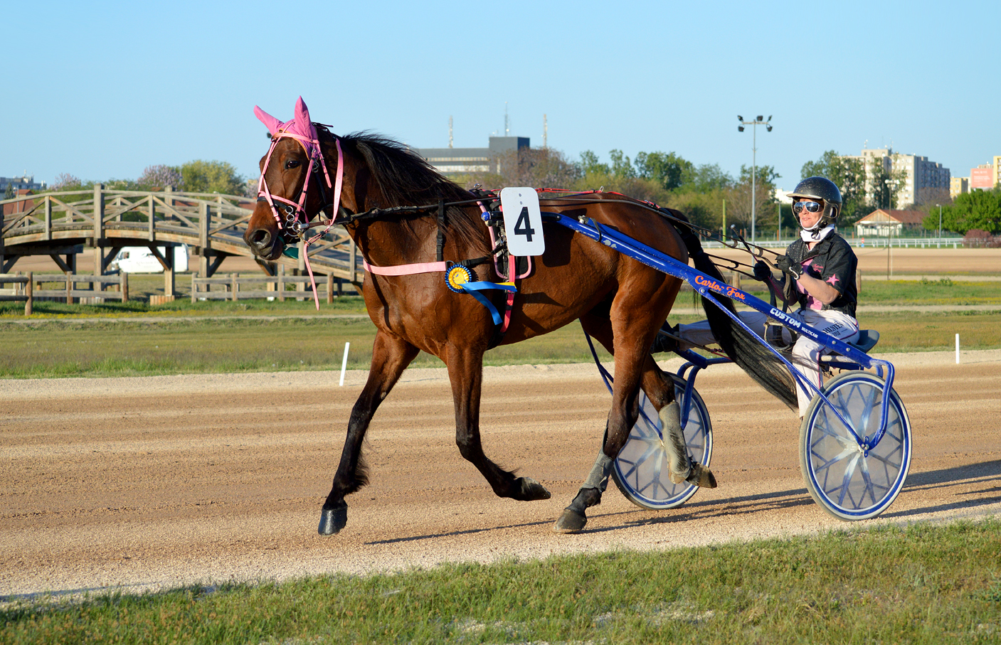A nyertes Elizabeth Boss és Fejszés Kitti