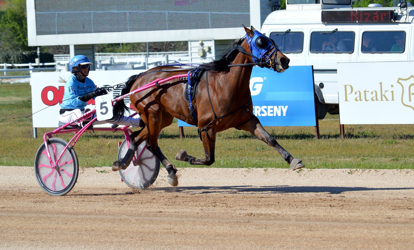 Eternity Bar nyerte a City Díjat
