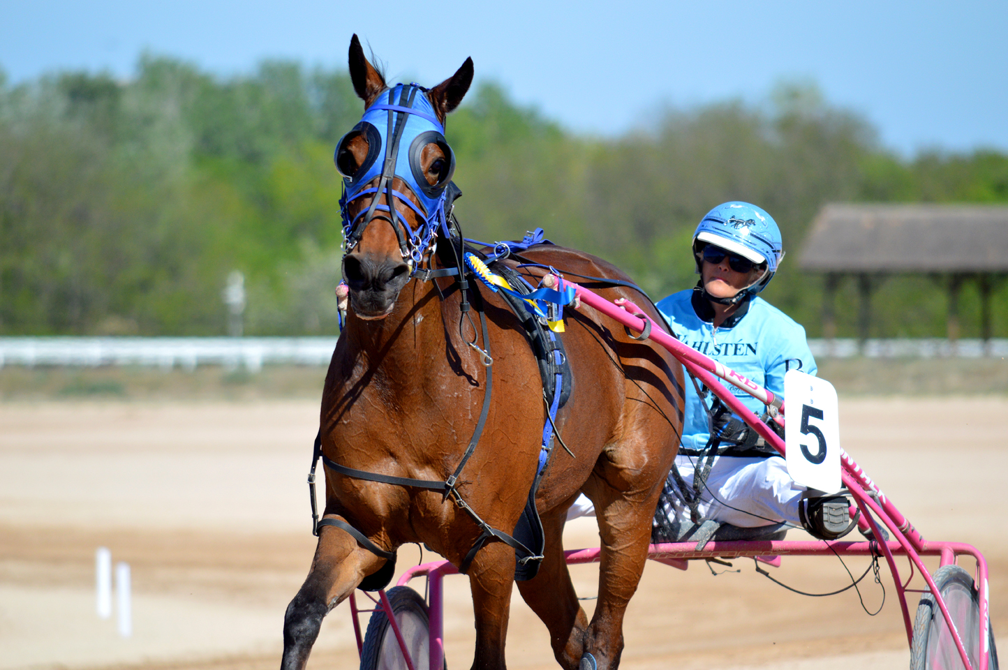 Eternity Bar hajtónőjével, Balogh Bernadettel