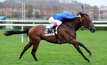 2. kép: Passion For Gold (USA). Forrás: godolphin.com