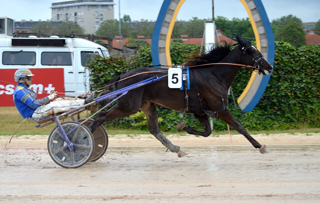 Giovanni Fling győzelme