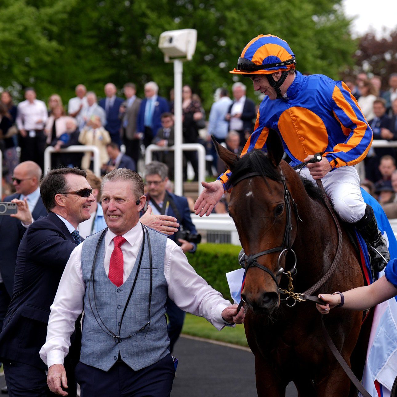 1. kép: Aidan O'Brien, Wayne Lordan és True Love a ringben. Forrás: At The Races 