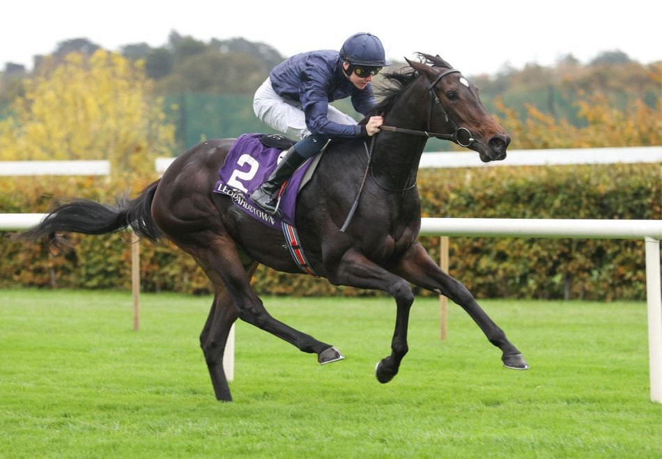 2. kép: A favorit – Amelia Earhart (IRE). Forrás: coolmore.com