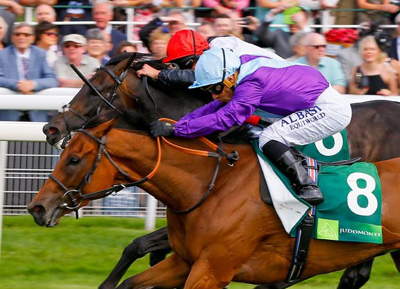 3. kép: Arabian Queen (IRE) győzelme Golden Horne-nal (GB) szemben. Forrás: RacingPost
