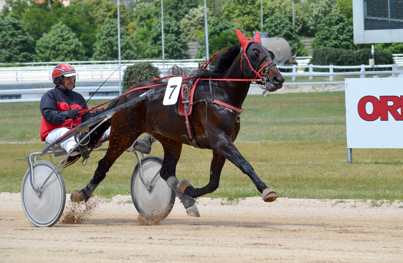 Nagy Ferenc II. 5 futamban győzött