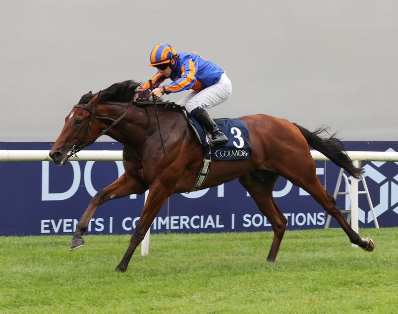 Constitution River nyerte a Prix du Jockey Clubot